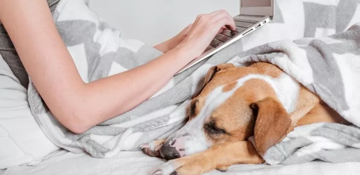 5 Big Advantages of Telecommuting
