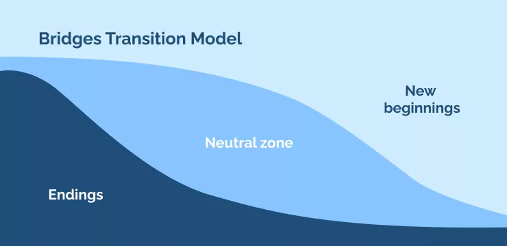 Bridges Transition Model