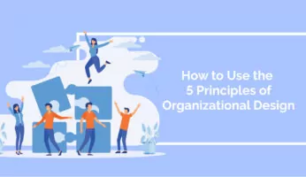 How to Use the 5 Principles of Organizational Design