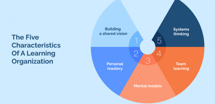 The Five Characteristics  Of A Learning Organization