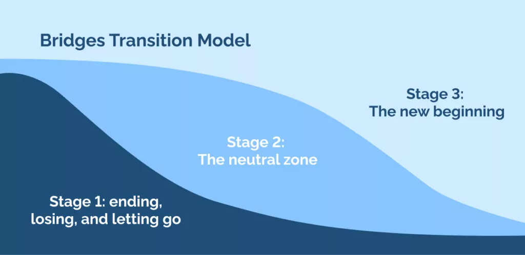 Bridges Transition Model